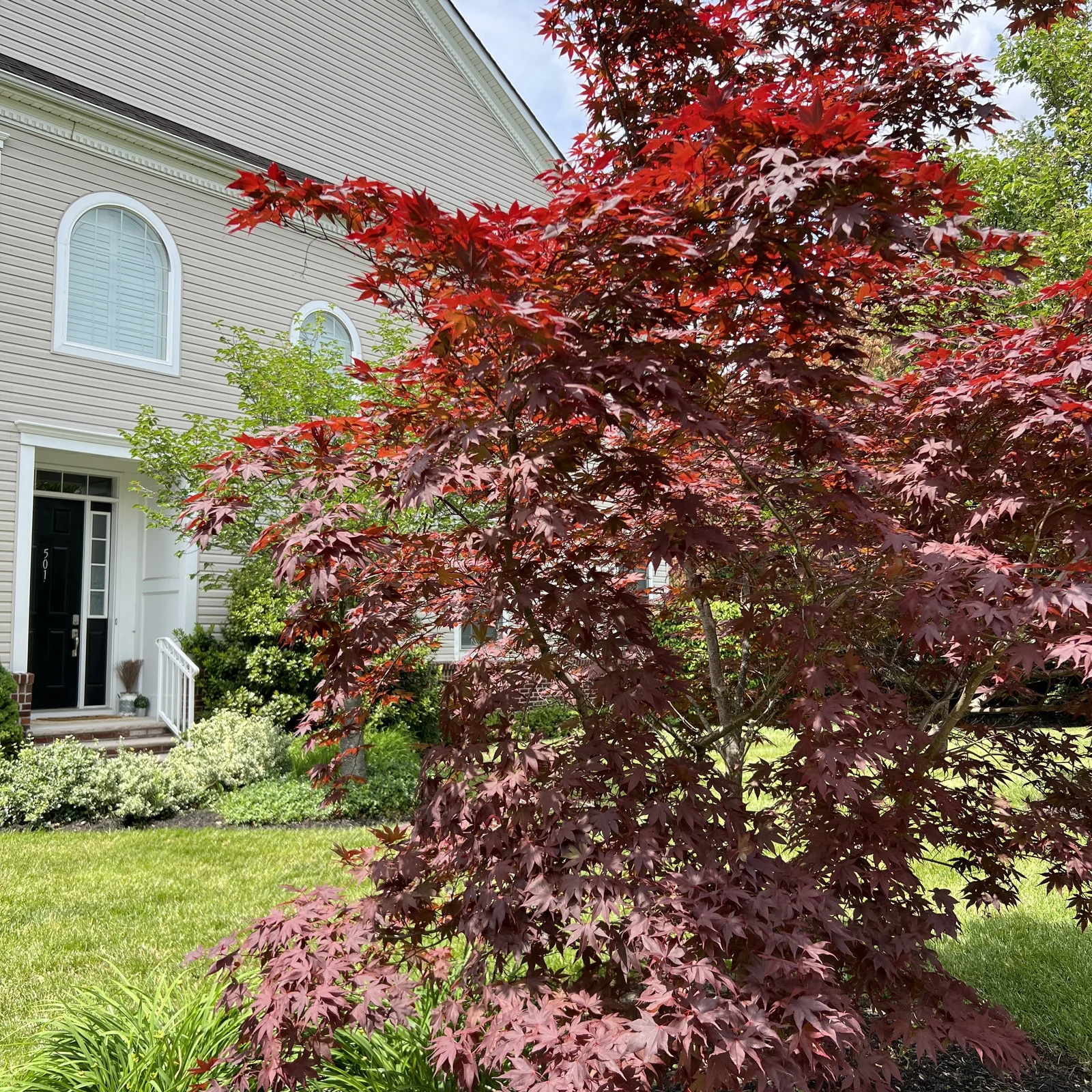 Cherry Hill City Guide | Things to Do & Travel Tips