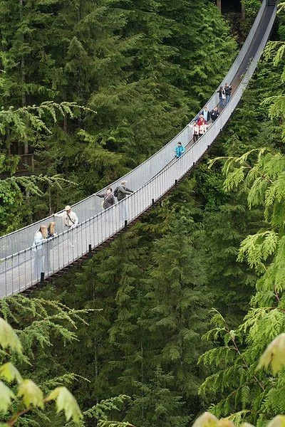 Capilano Suspension Bridge Park | Travel Guide | TravelPal