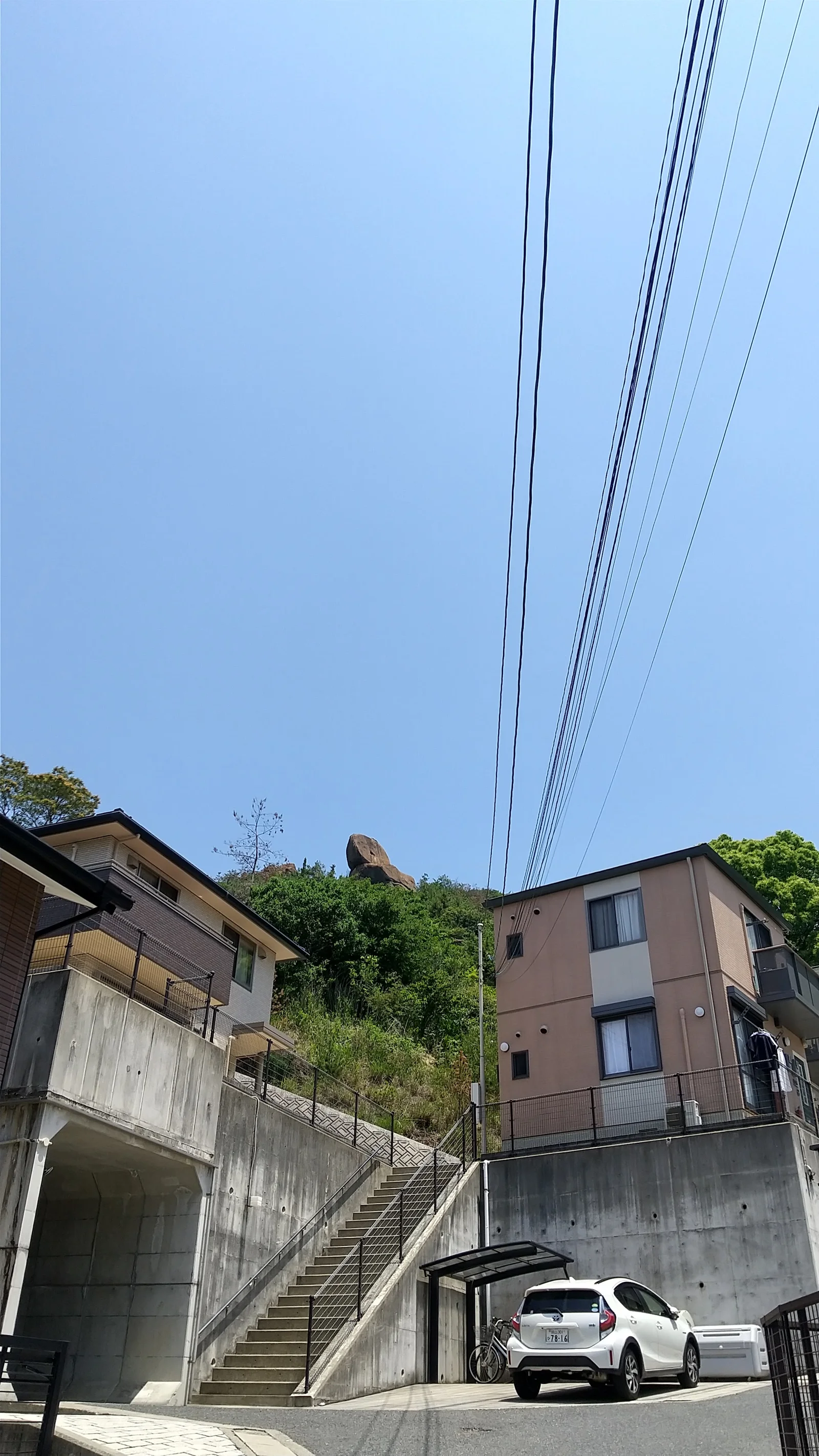 Tamano City Guide | Things to Do & Travel Tips | TravelPal